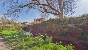 Photo 1- click for photo gallery